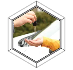 logo-image - about-section-aut